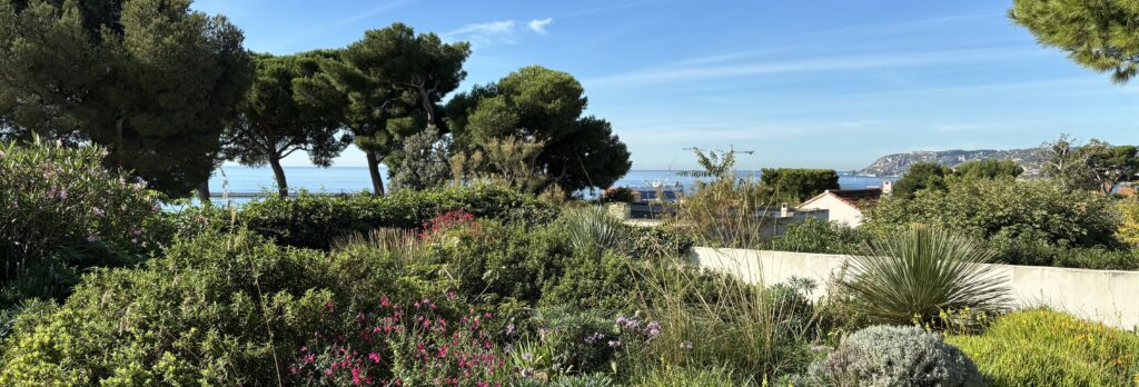 Création d’un jardin paysager — Marseille Estaque