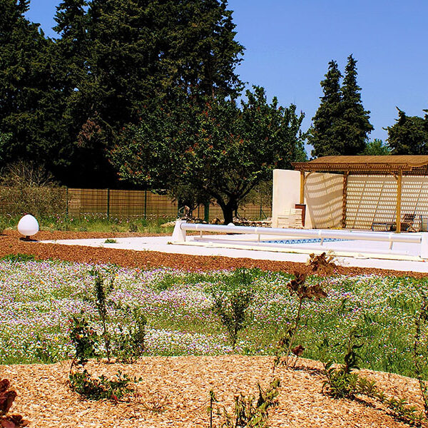 création jardin paysager sec méditerranéen à Thor