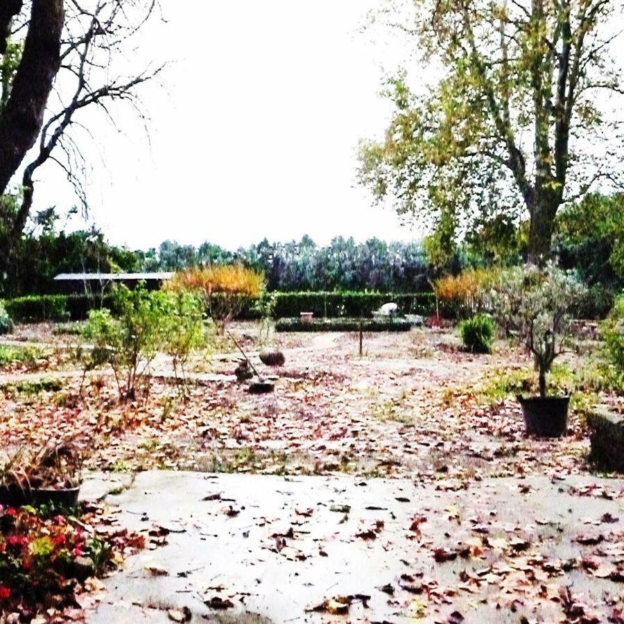 Réalisation d'un parc paysager d'un mas sarrians