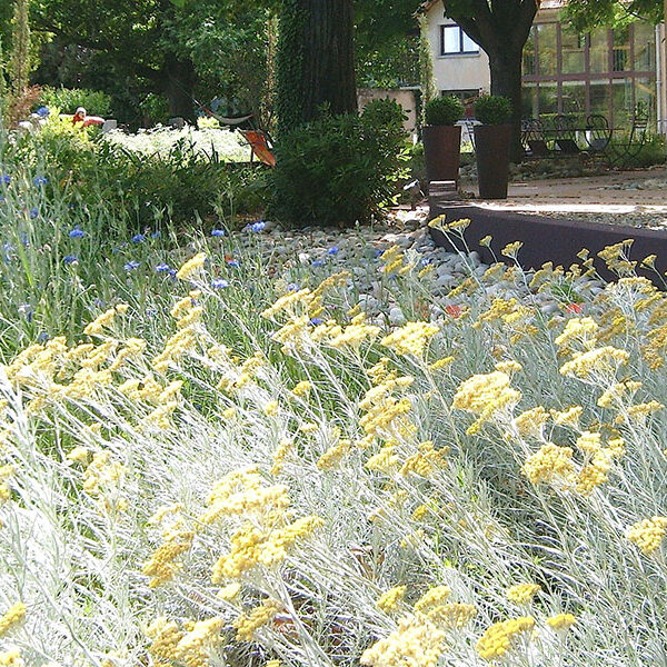 Réalisation d'un parc paysager d'un mas sarrians