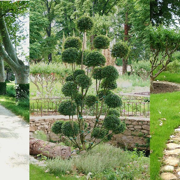Réalisation d'un parc paysager d'un mas sarrians