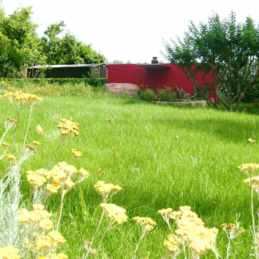 Réalisation d'un parc paysager d'un mas sarrians