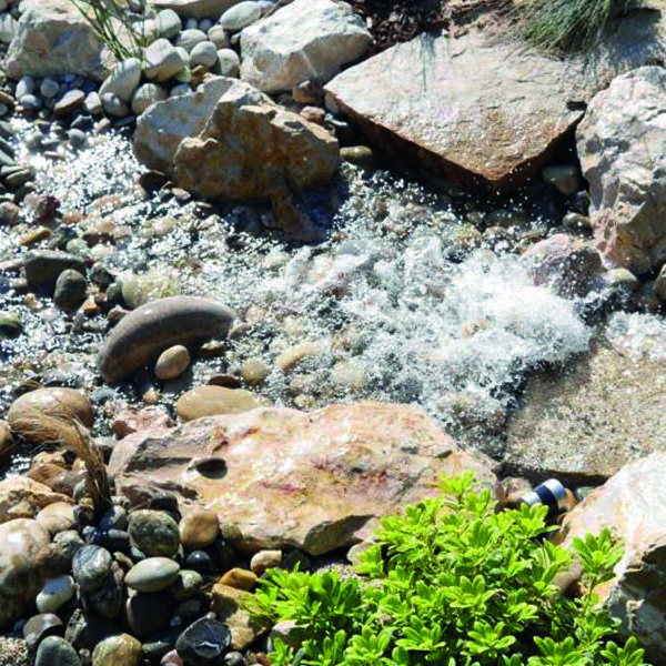 Bassin aquatique d'un jardin vue mer à Marseille 7ème