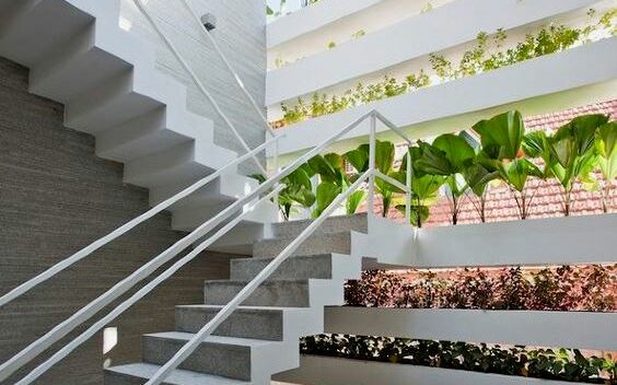 des-escaliers-vegetalise-bao-garden