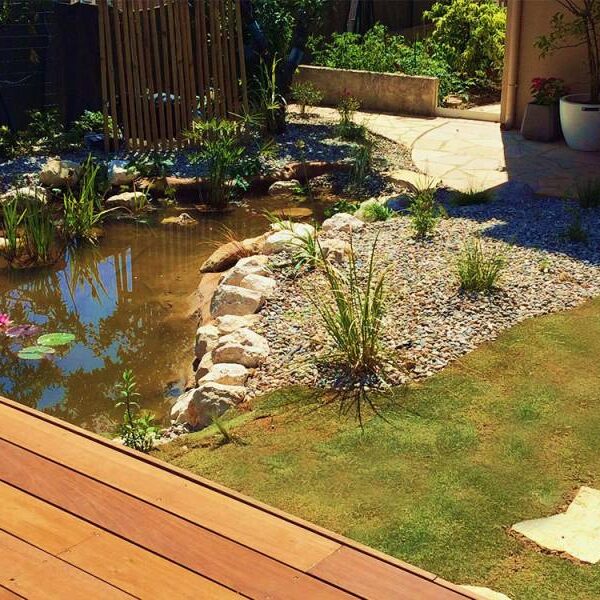 Rénovation d’un jardin de ville avec bassin aquatique à Marseille
