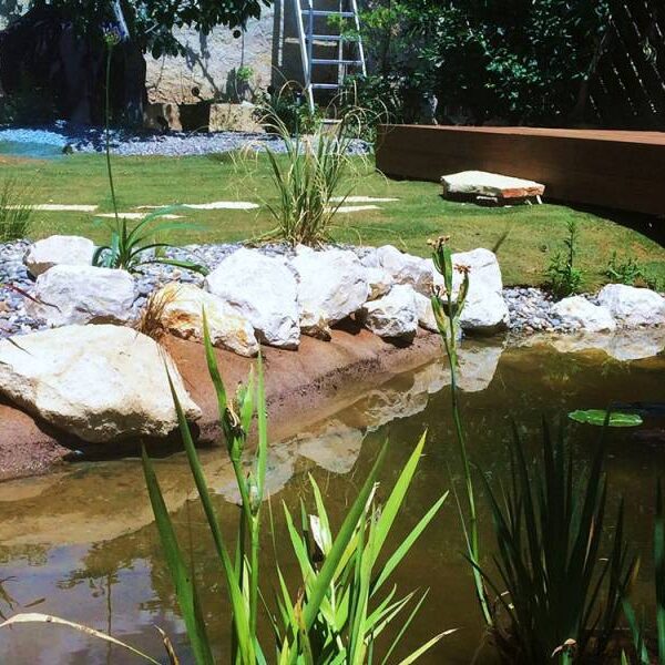 Rénovation d’un jardin de ville avec bassin aquatique à Marseille