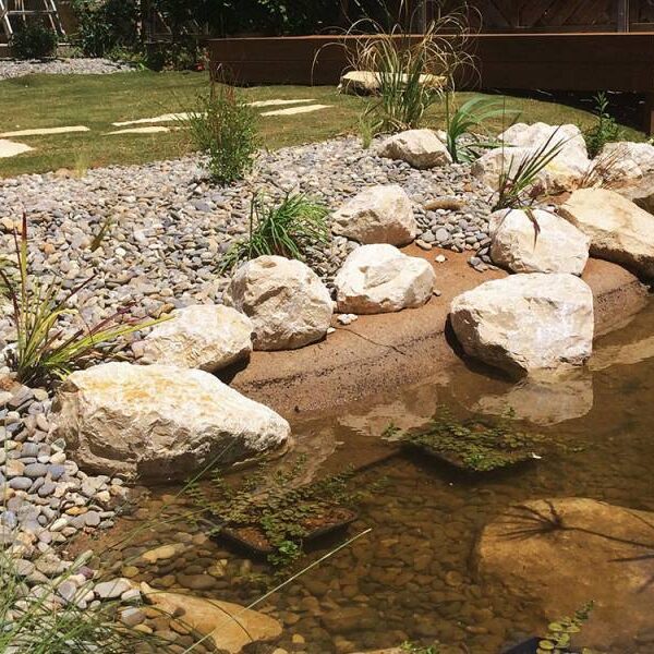 Rénovation d’un jardin de ville avec bassin aquatique à Marseille