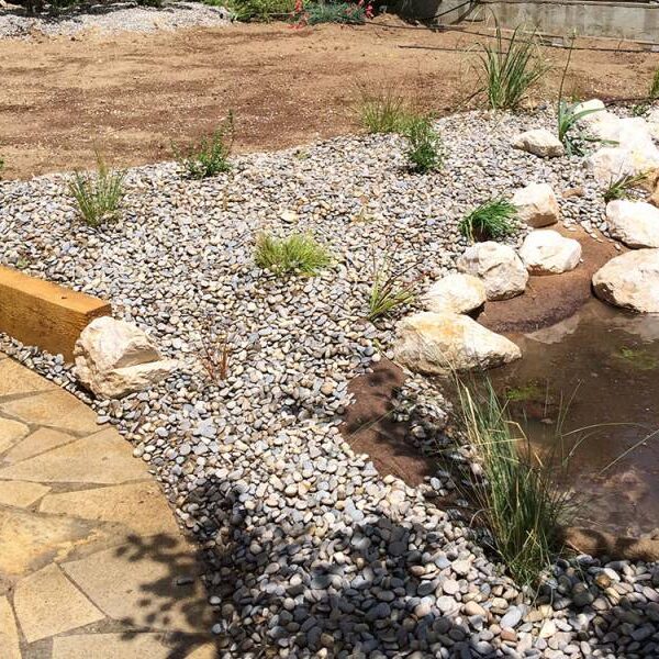 Rénovation d’un jardin de ville avec bassin aquatique à Marseille