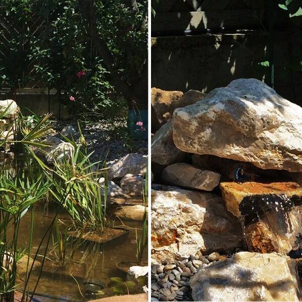 Jardin de ville avec bassin aquatique à Marseille