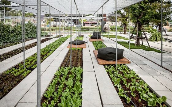 integratedfield_coro_09-560×560