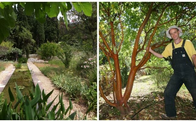 jardin-domaine-orves-1