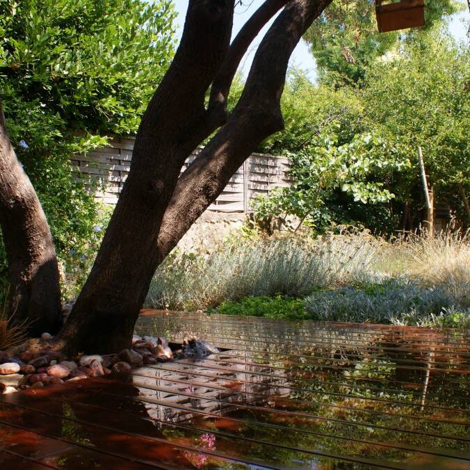 Aménagement d'un jardin de ville contemporain au Prado à Marseille