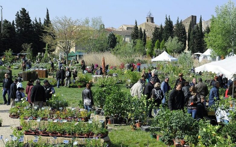 journee-plantes-rares-serignan-conta