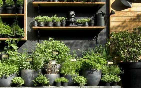 l-amenagement-balcon-deisgn