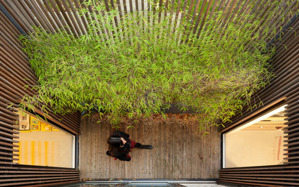 maison_filtre48-casa-con-marco-madera-+-samuel-delmas