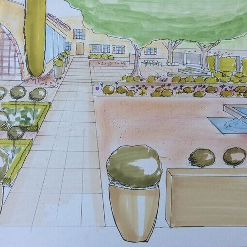 Aménagement paysager d’un mas en Provence