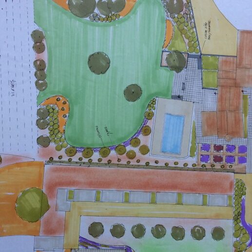 Projet paysager d’un mas en Provence