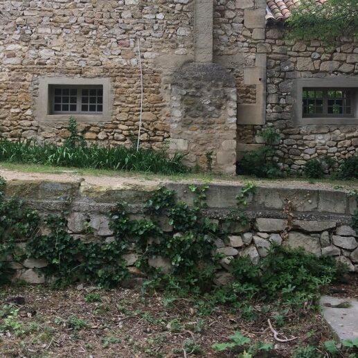 Projet paysager d’un mas en Provence