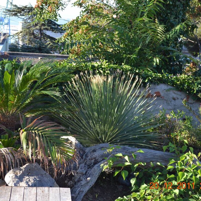 Rénovation d’une maison dans le quartier de Mourepiane à Marseille