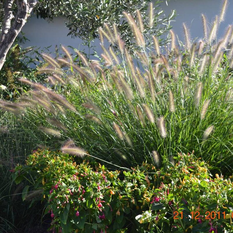 Rénovation d’une maison dans le quartier de Mourepiane à Marseille