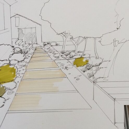 Rénovation des extérieurs et jardins en Provence