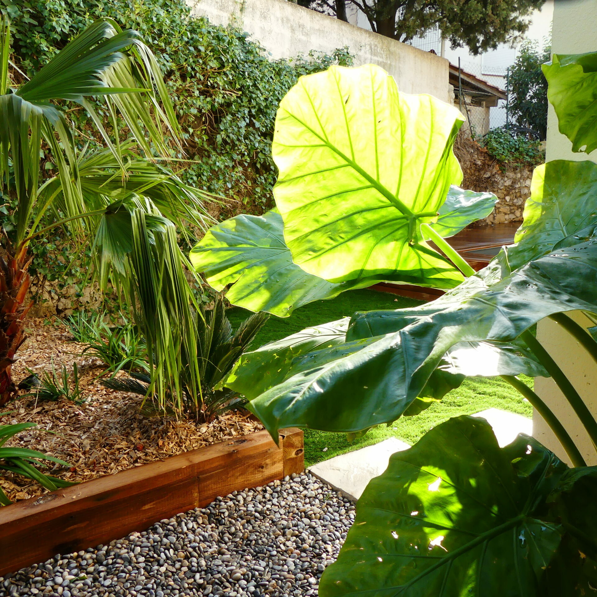Création d'un jardin de ville caché à Marseille Roucas Blanc
