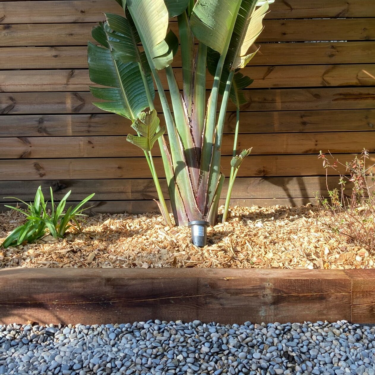 Création jardin de ville caché à Marseille Roucas Blanc