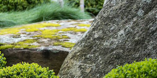 Scott californien Scott californien