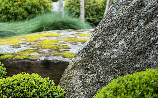 Scott californien Scott californien