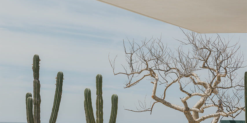 gloria-cortina-cabo-15.2@2x.1611224801 Résidence Cabo