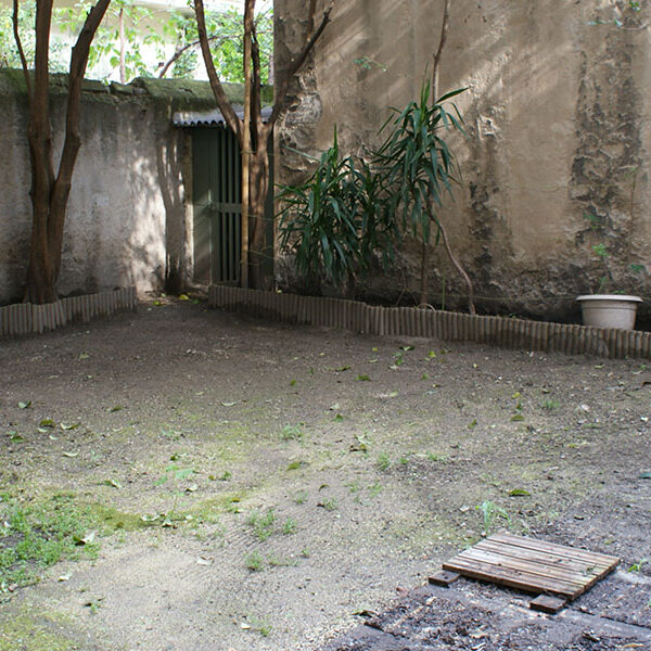 Création d'un jardin de ville style japonnais