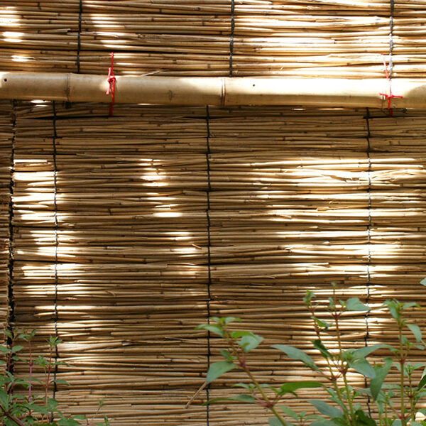 Création d'un jardin de ville style japonnais