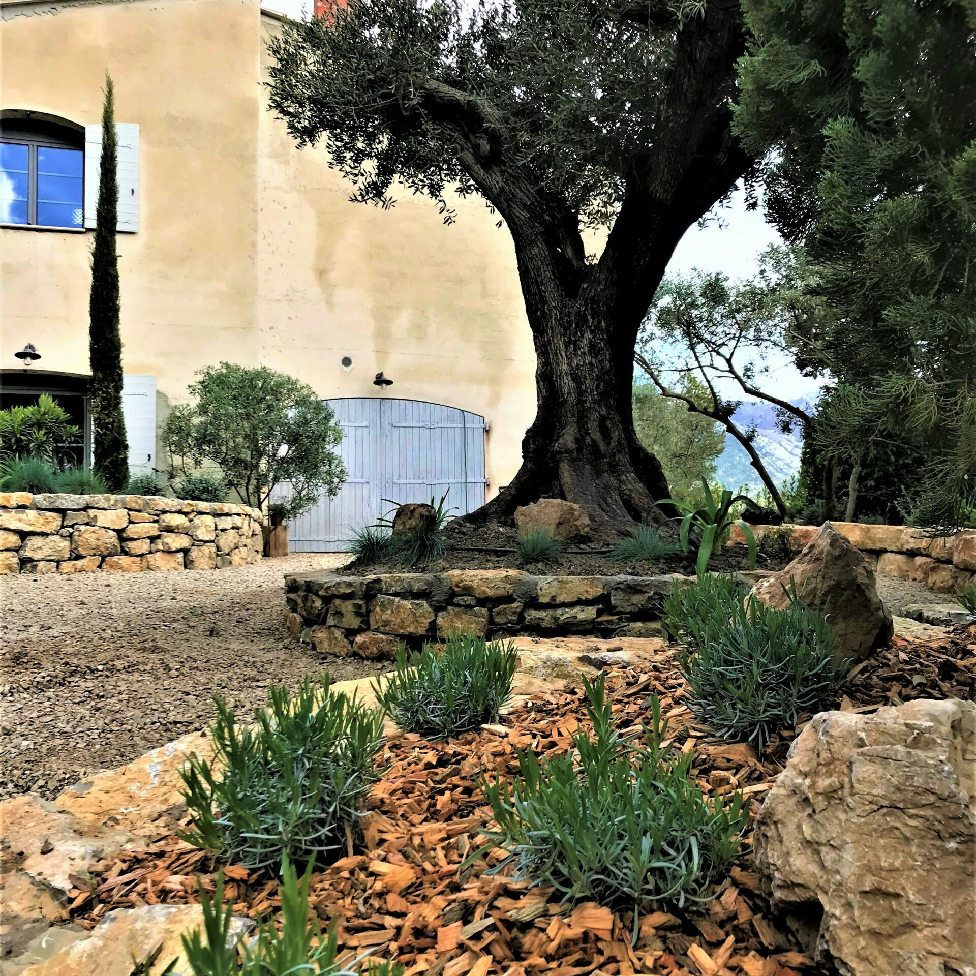Création jardin belvédère de la Sainte Victoire
