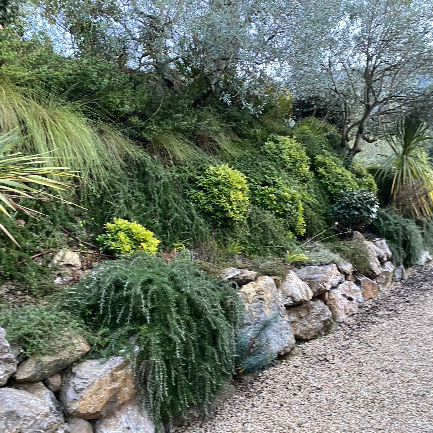 Création jardin belvédère de la Sainte Victoire