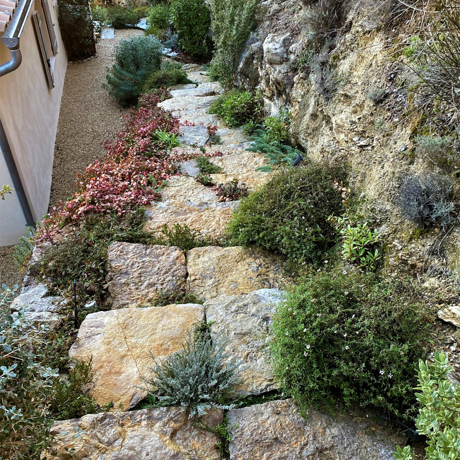 Création jardin belvédère de la Sainte Victoire