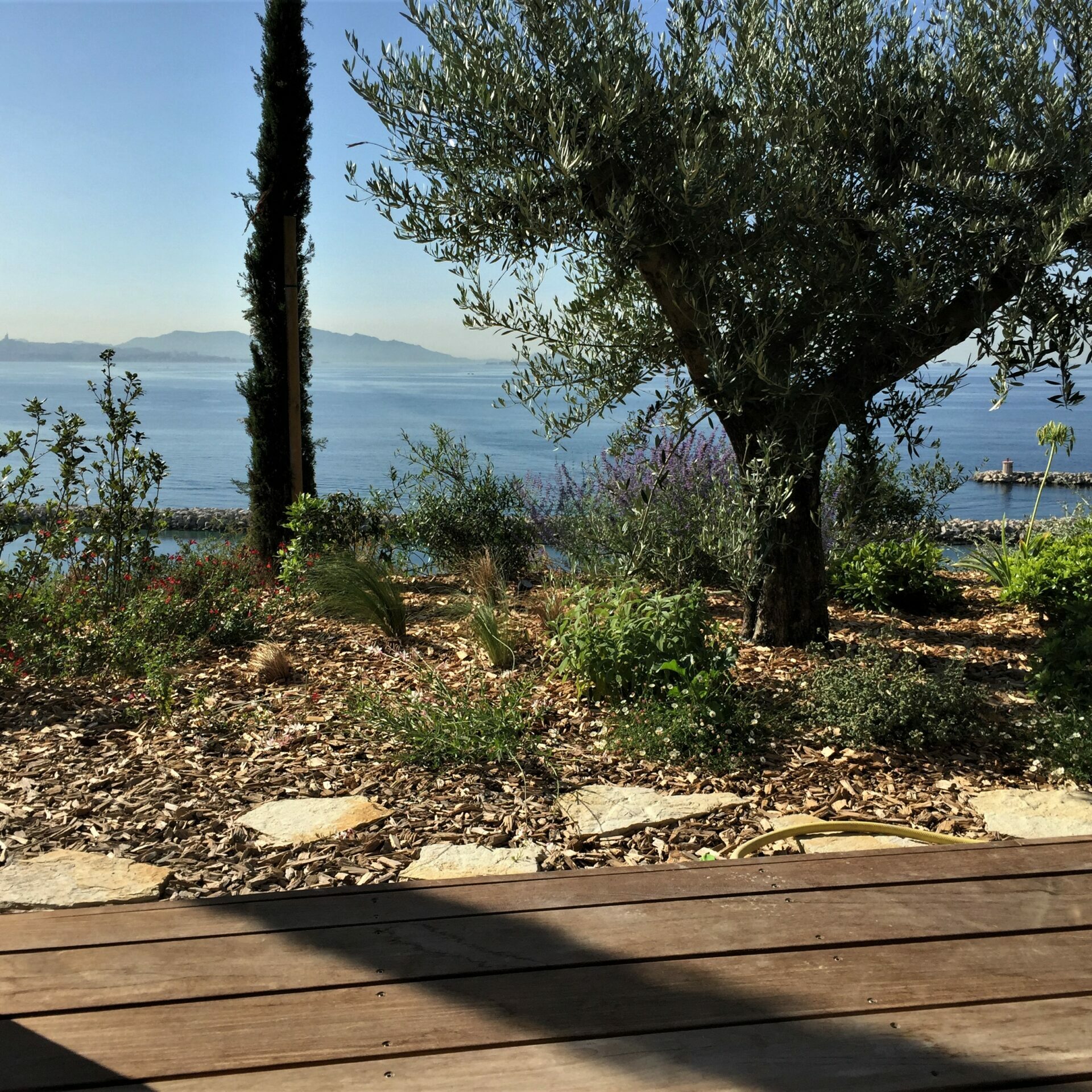Le jardin sur la mer de la maison blanche - Côte Bleue