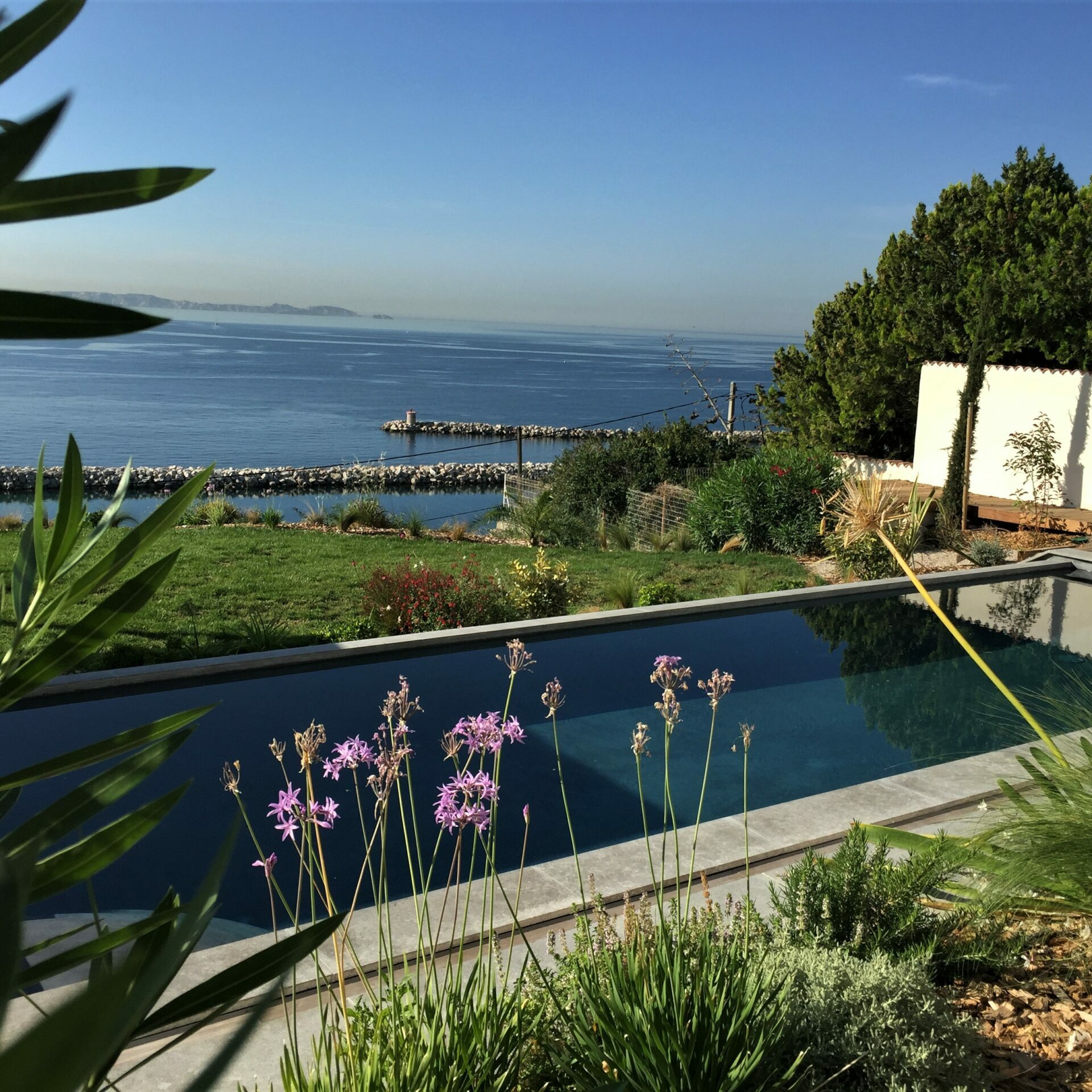Le jardin sur la mer de la maison blanche - Côte Bleue