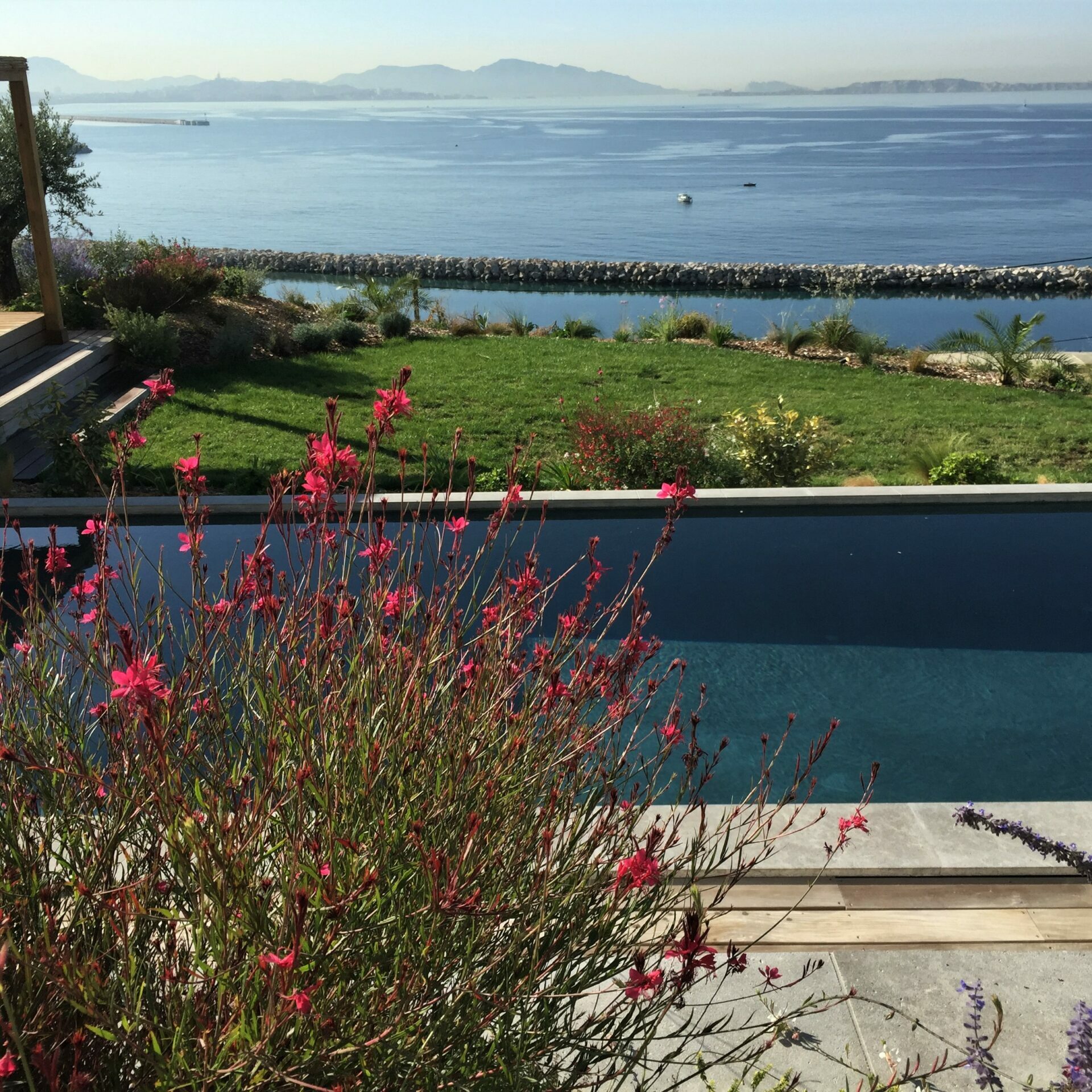 Le jardin sur la mer de la maison blanche - Côte Bleue