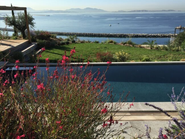 Le jardin sur la mer de la maison blanche - Côte Bleue