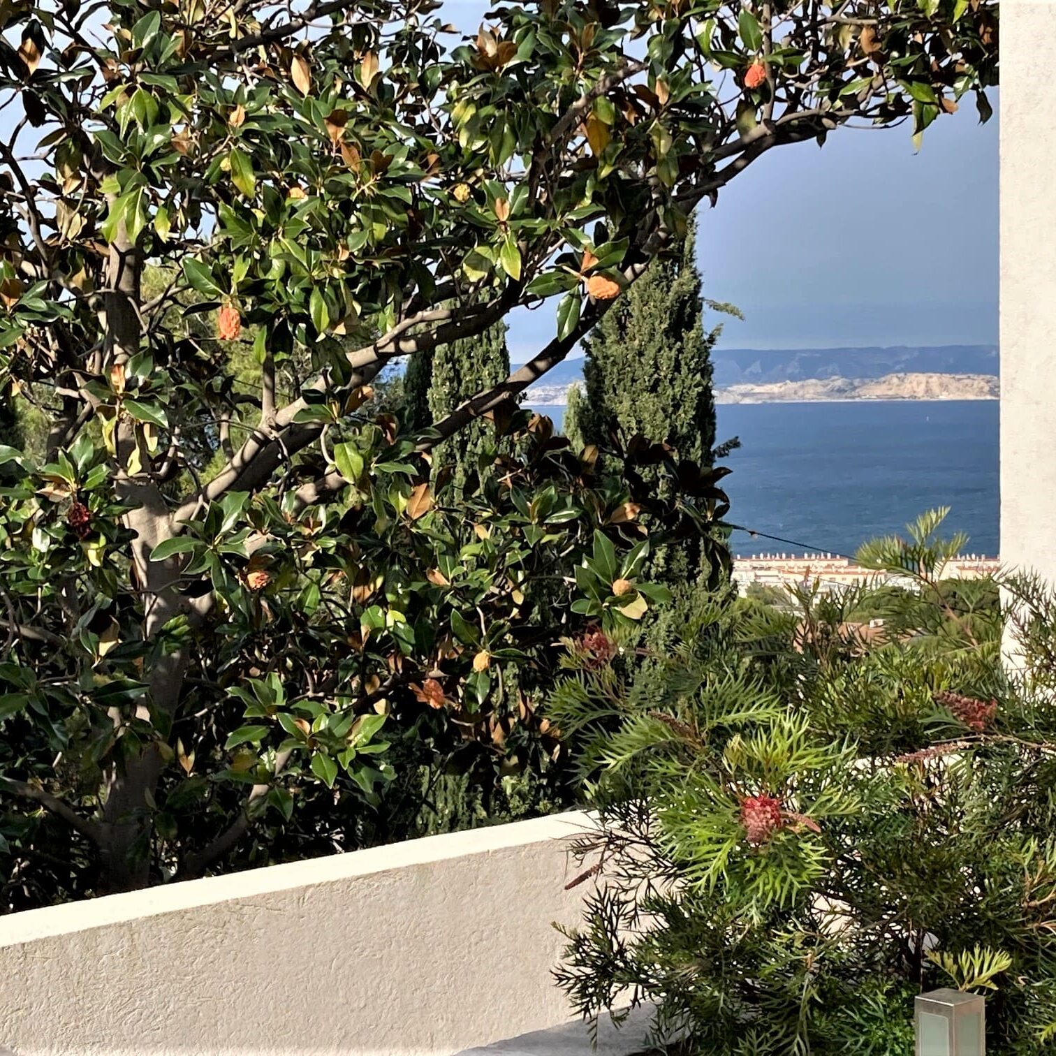 Aménagement jardin d’une maison contemporaine, Marseille Veyre