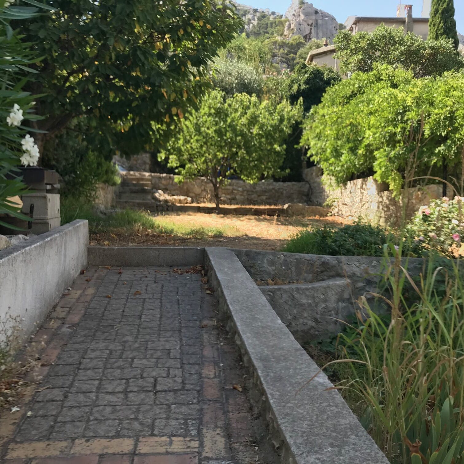 Aménagement jardin d’une maison contemporaine, Marseille Veyre