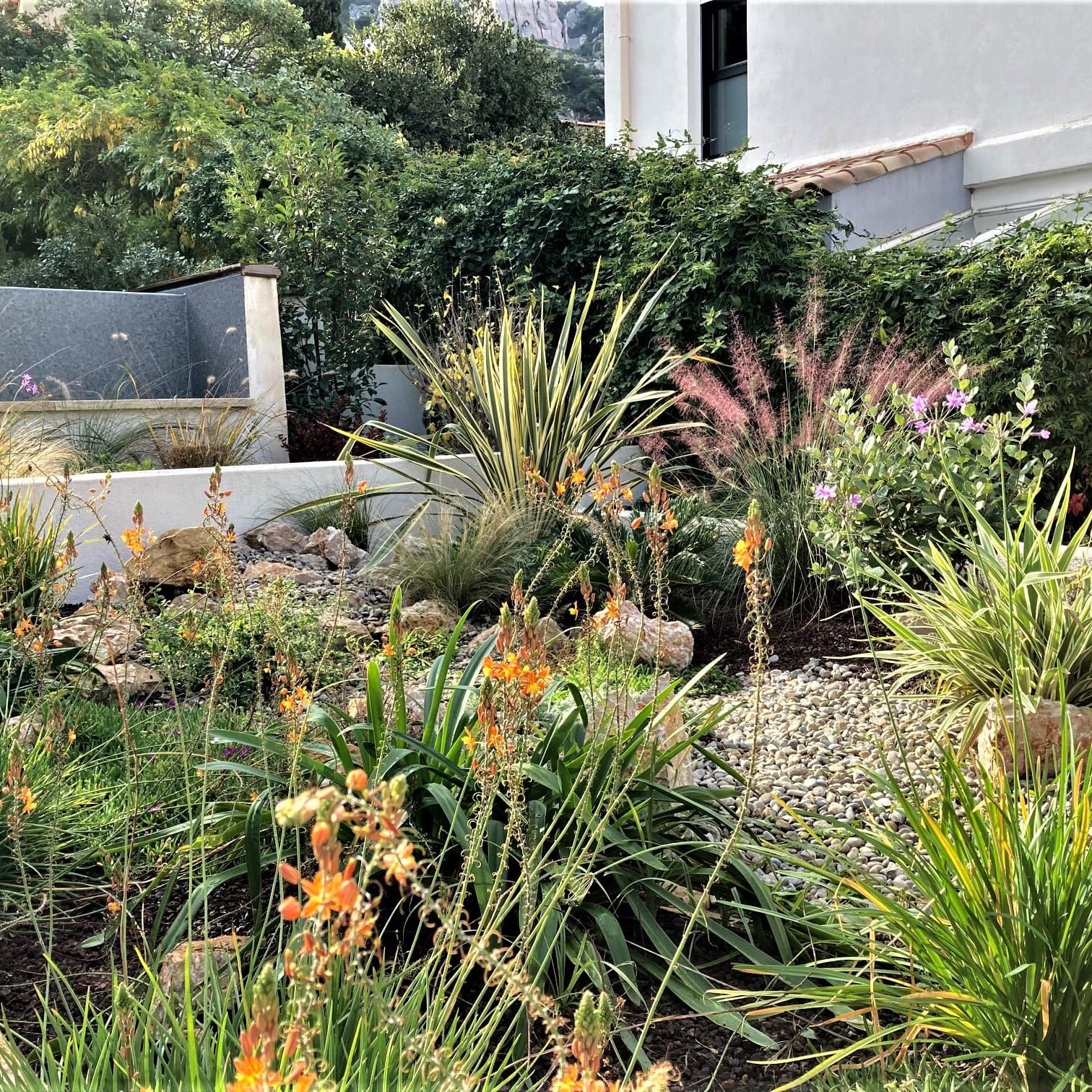 Aménagement jardin d’une maison contemporaine, Marseille Veyre
