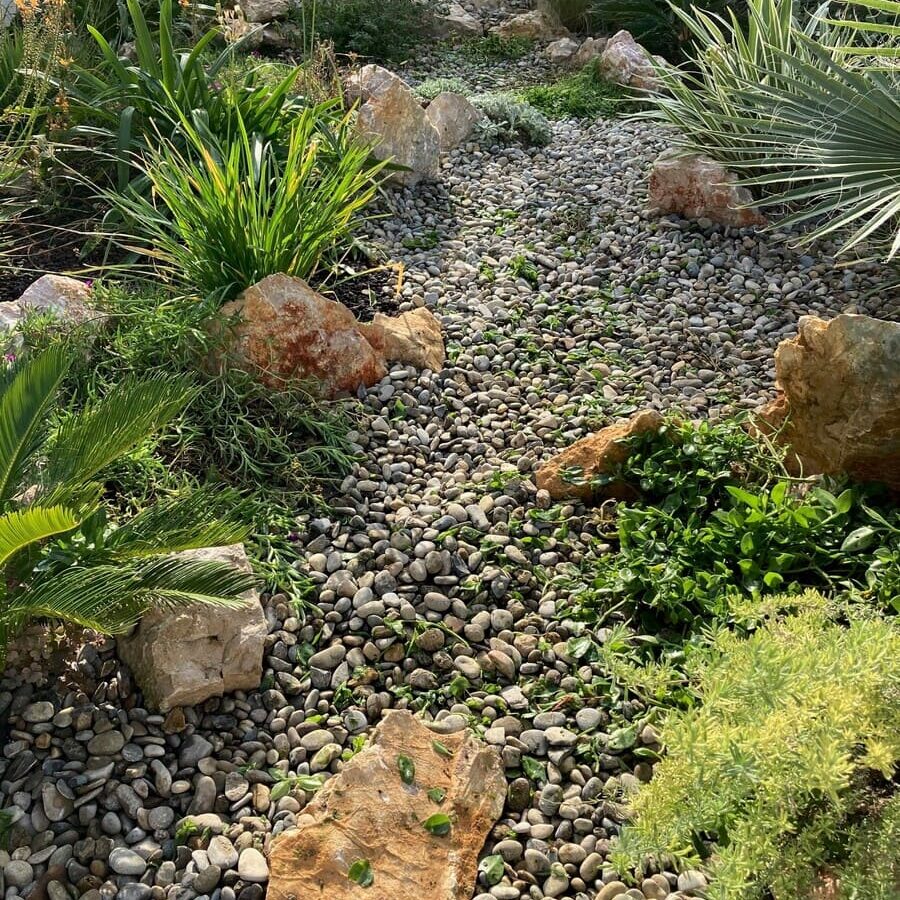 Aménagement jardin d’une maison contemporaine, Marseille Veyre