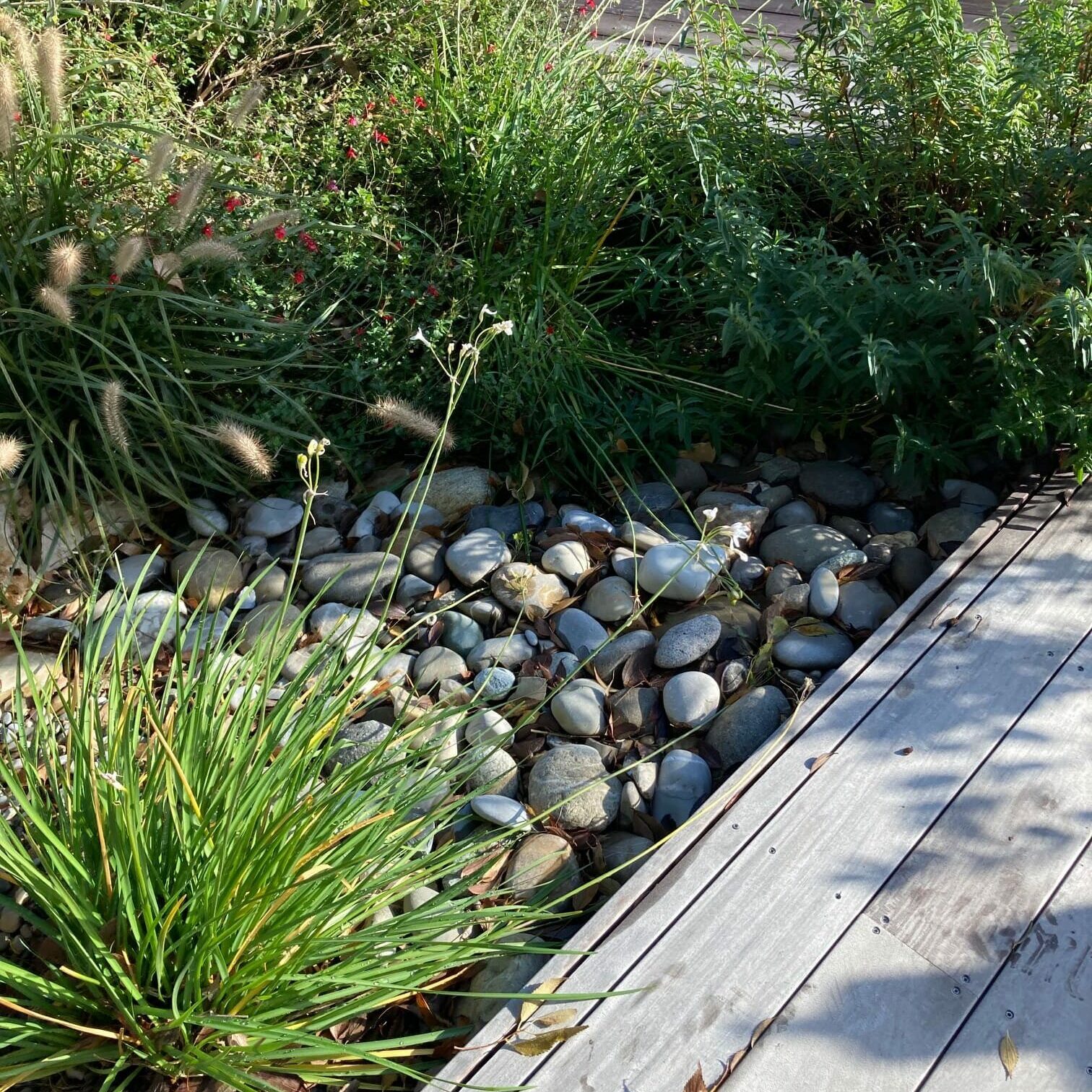 Aménagement d'un jardin d'une maison bourgeoise