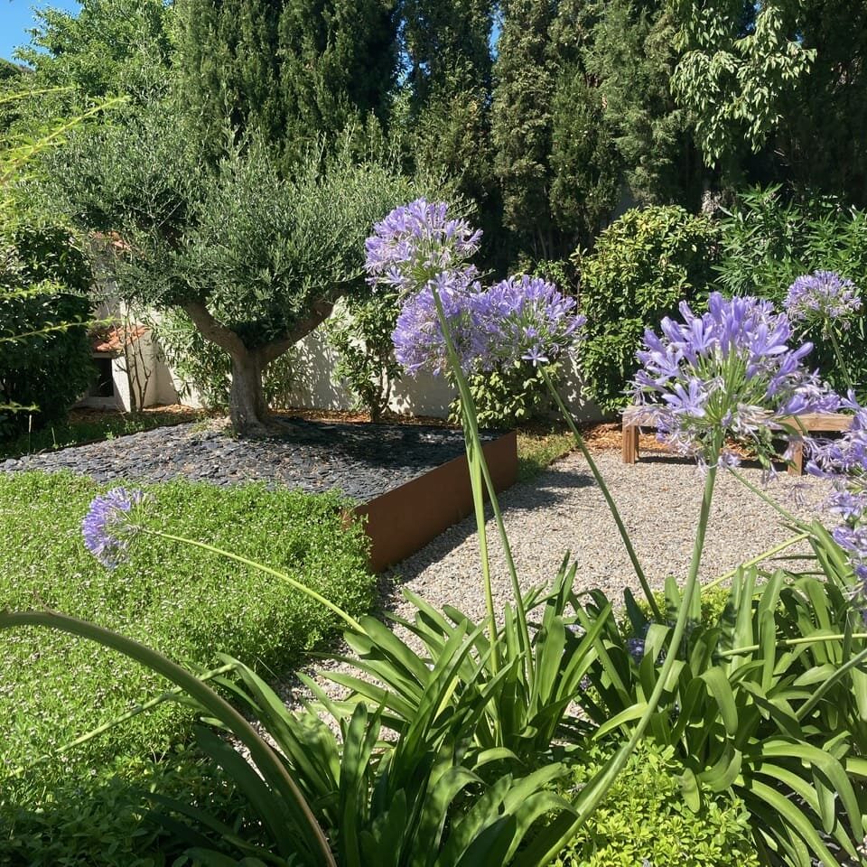 Création d'un jardin d'une maison bourgeoise - Parc Talabot - Marseille 8ème