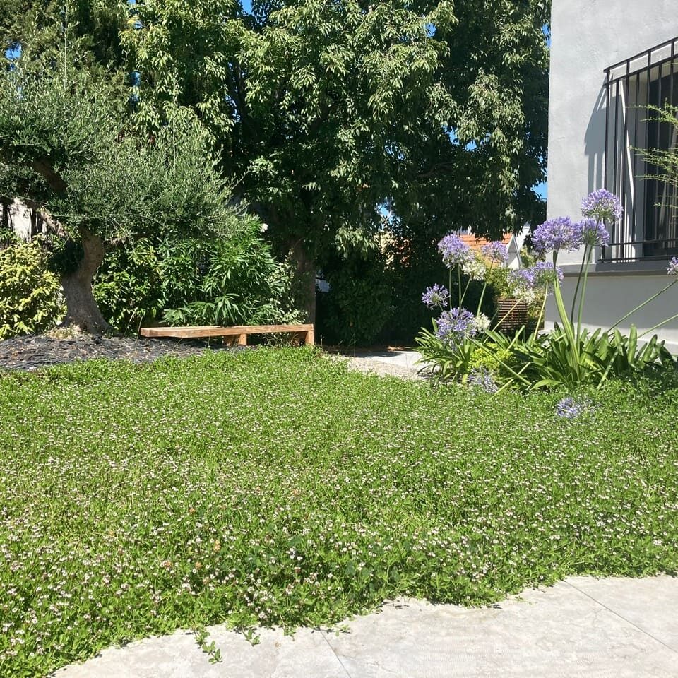 Aménagement d'un jardin d'une maison bourgeoise