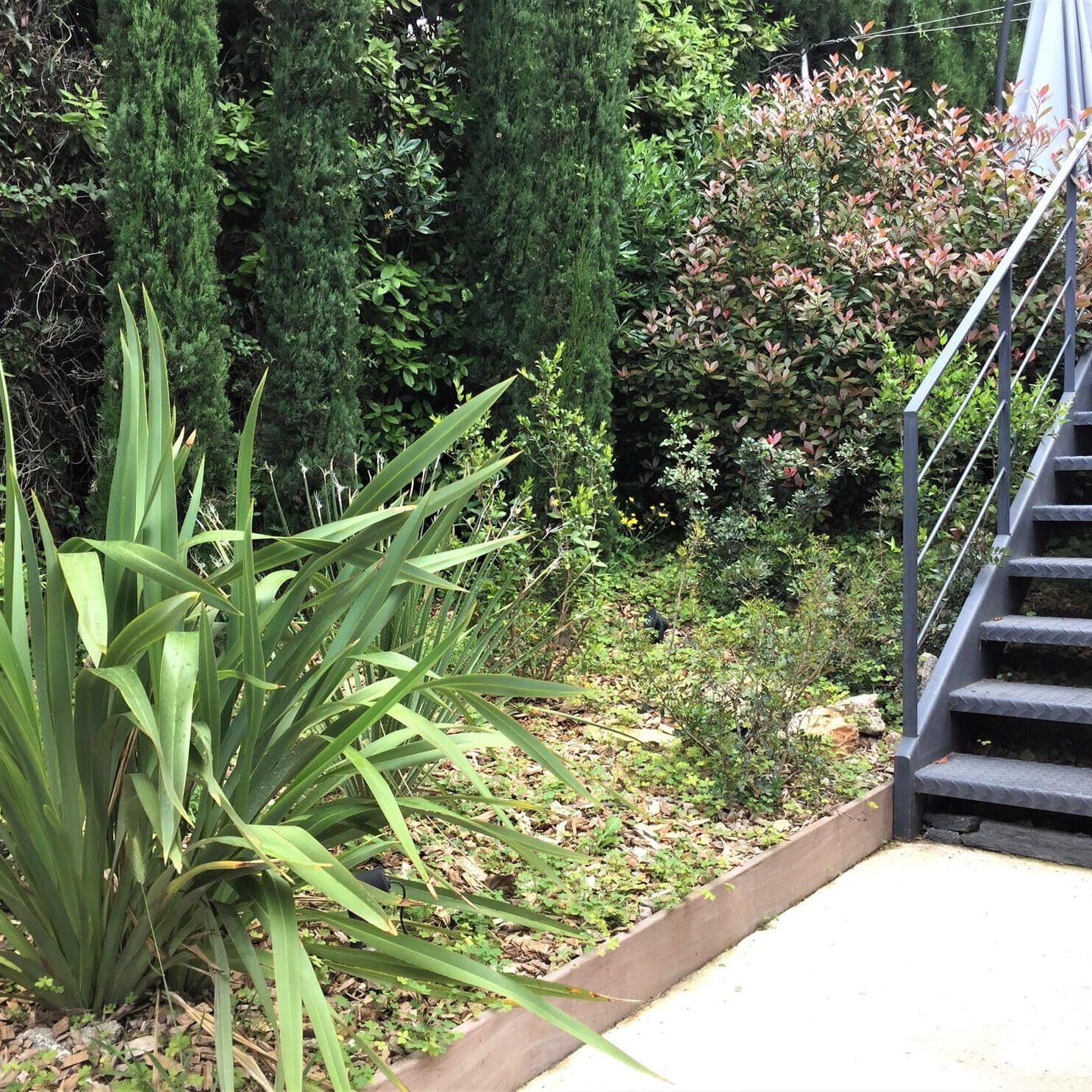 Aménagement d'un jardin paysager