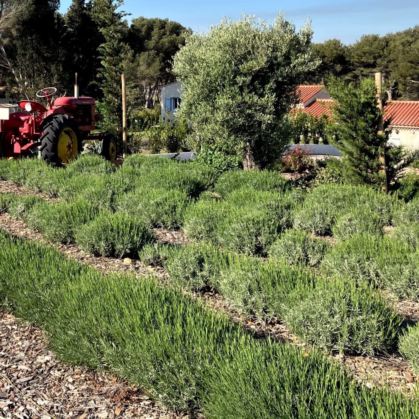 Aménagement d'un parc paysager à Port de Bouc