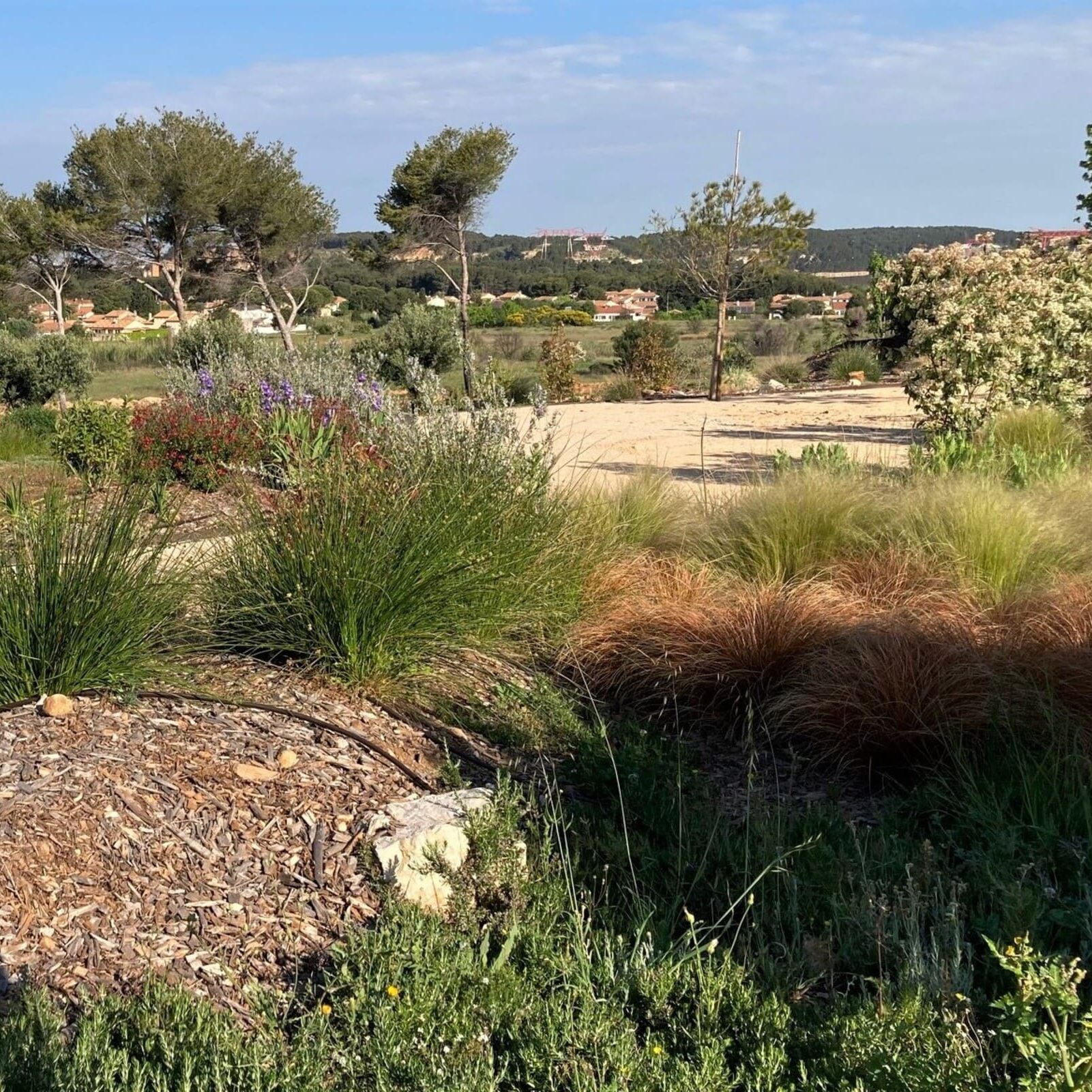Aménagement d'un parc paysager d’une propriété à Port de Bouc