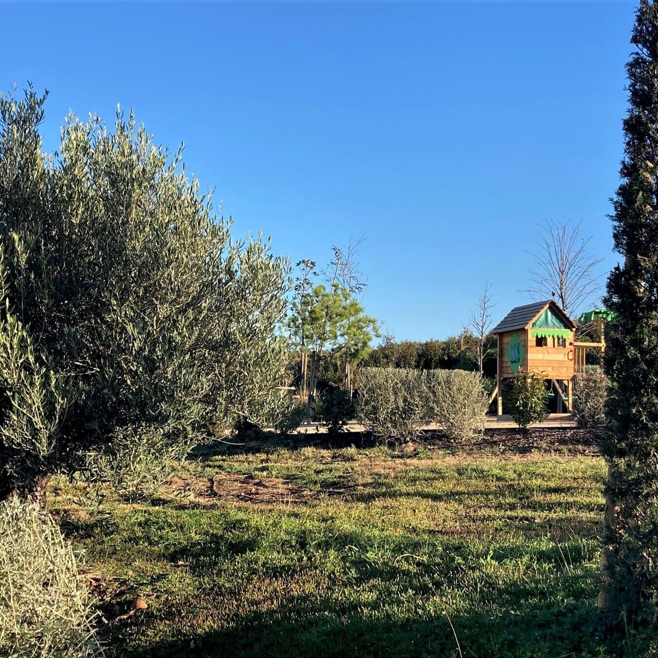 Réalisation d'un parc paysager Bouches du Rhone